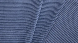 Cilium indigo